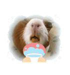 CHOCO'S BIZARRE ADVENTURE（個別スタンプ：11）