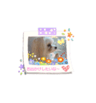 マルチワのラナちゃん（個別スタンプ：3）