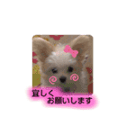 マルチワのラナちゃん（個別スタンプ：22）