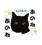 ウチの4にゃんズ（個別スタンプ：9）
