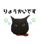 ウチの4にゃんズ（個別スタンプ：23）