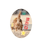 ☆ななこ2☆（個別スタンプ：8）