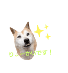 はなちゃんほっこりスタンプ（個別スタンプ：4）