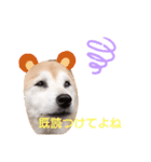はなちゃんほっこりスタンプ（個別スタンプ：7）