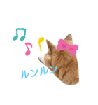 はなちゃんほっこりスタンプ（個別スタンプ：14）