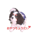 アロンジェ（個別スタンプ：1）