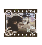 アロンジェ（個別スタンプ：4）