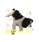 アロンジェ（個別スタンプ：6）