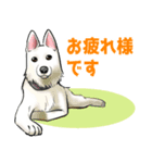 T家の犬達（個別スタンプ：4）