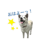 Johnnyのスタンプ 2（個別スタンプ：2）