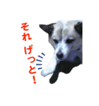 Johnnyのスタンプ 2（個別スタンプ：4）