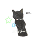 Johnnyのスタンプ 2（個別スタンプ：16）