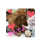 ひかボブ（個別スタンプ：8）