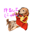 喜怒哀楽が激しい犬様との日常（個別スタンプ：10）