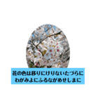 和歌わか（個別スタンプ：1）