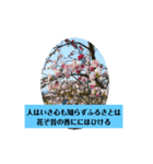和歌わか（個別スタンプ：2）