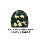 和歌わか（個別スタンプ：5）