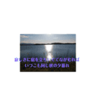 和歌わか（個別スタンプ：6）