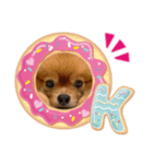 チャイくん❤︎（個別スタンプ：1）
