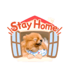 チャイくん❤︎（個別スタンプ：6）