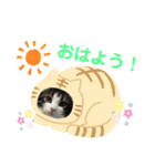 すずスタンプ-norwegianforestcat-（個別スタンプ：5）