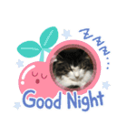 すずスタンプ-norwegianforestcat-（個別スタンプ：6）