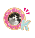 すずスタンプ-norwegianforestcat-（個別スタンプ：16）