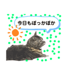 でんちゃんスタンプ5（個別スタンプ：2）