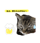 でんちゃんスタンプ5（個別スタンプ：4）