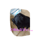 たけまつ君とそらチャン（個別スタンプ：3）