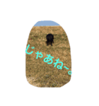 たけまつ君とそらチャン（個別スタンプ：5）