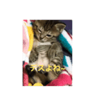 たけまつ君とそらチャン（個別スタンプ：7）