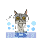 エキゾチックロングヘア（個別スタンプ：3）