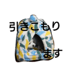 家のマル（個別スタンプ：4）