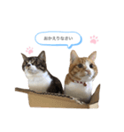 ポポとカリンの日常（個別スタンプ：2）