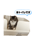 ポポとカリンの日常（個別スタンプ：3）
