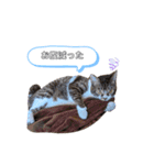 ポポとカリンの日常（個別スタンプ：5）