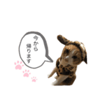 ポポとカリンの日常（個別スタンプ：10）