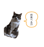 ポポとカリンの日常（個別スタンプ：14）
