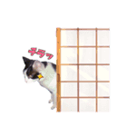 キャッスルドアの愛猫達（個別スタンプ：5）