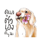 子犬かわいい犬（個別スタンプ：5）