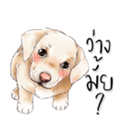 子犬かわいい犬（個別スタンプ：9）