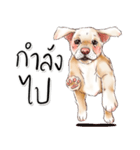 子犬かわいい犬（個別スタンプ：13）