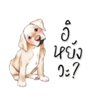 子犬かわいい犬（個別スタンプ：27）