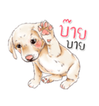 子犬かわいい犬（個別スタンプ：38）