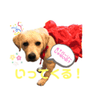 ラブラドールパピー  ライクキっ子（個別スタンプ：18）
