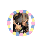 コージman（個別スタンプ：7）