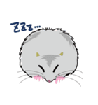 ハム兄弟その1（個別スタンプ：5）