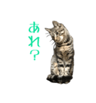 わがやのオチさん（個別スタンプ：6）