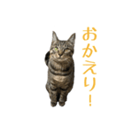 わがやのオチさん（個別スタンプ：11）